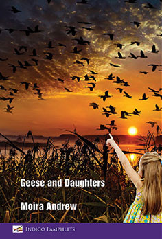 Geese and Daughters